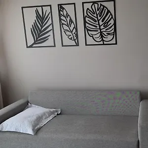  Apartamento Inteiro E Completo Em Moderno E Confortável Brasil